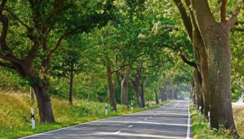Landesstraße - Bild von hpgruesen / Pixabay