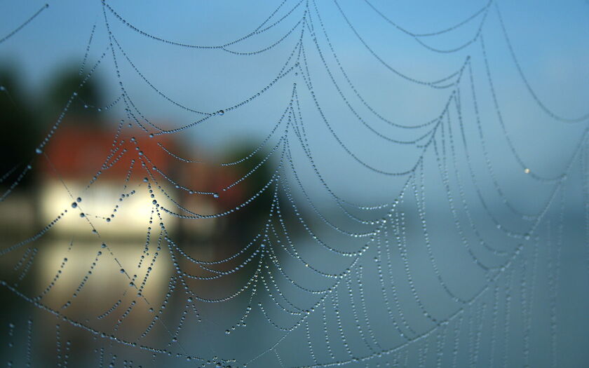 Netz von Rolf Friedrich / pixelio.de