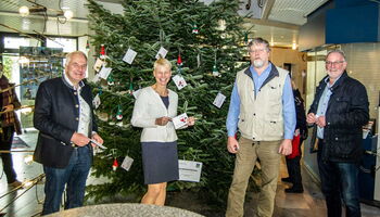 Bergische Nordmanntanne für den Weihnachts-Wunschbaum im Rathaus Wermelskirchen
