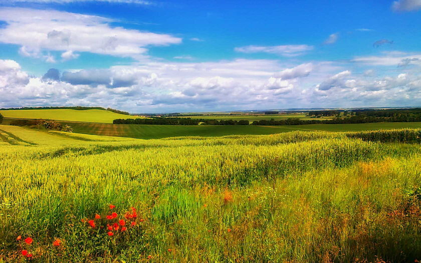 Landschaft - Bild von ID 12019 / Pixabay