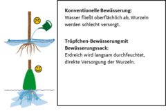 Schaubild Tröpfchenbewässerung