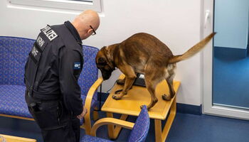 Polizeihund im Einsatz von Jochen Tack / IM NRW