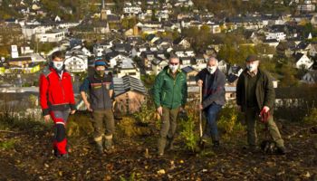 v. l. n. r.: Sebastian Brieden (Forstbetriebsgemeinschaft), Tobias Klein (Förster), Stefan Becher (Forstbetriebsgemeinschaft), Rainer Deppe MdL und Andreas Heider (Hegering) pflanzen die erste Küstentanne im Overather Sprachraum