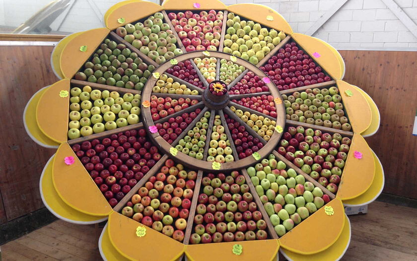 Apfelsonne auf einem Obstmarkt