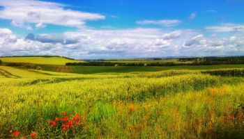 Landschaft - Bild von ID 12019 / Pixabay