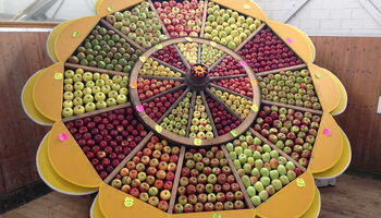 Apfelsonne auf einem Obstmarkt