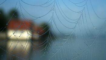 Netz von Rolf Friedrich / pixelio.de