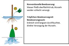 Schaubild Tröpfchenbewässerung