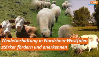 Grafik: Weidetierhaltung in Nordrhein-Westfalen stärker fördern und anerkennen