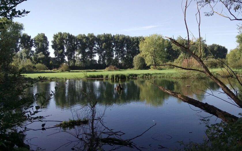 See von Gabriele Schmadel / pixelio.de