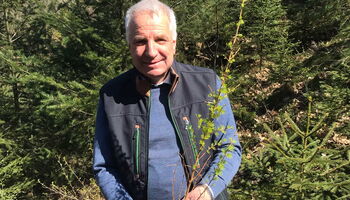 Rainer Deppe hält einen Lärchensetzling in der Hand.