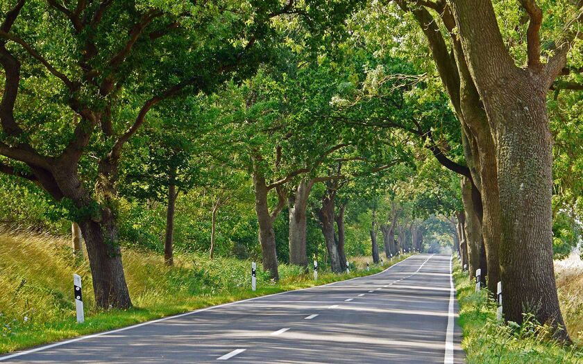 Landesstraße - Bild von hpgruesen / Pixabay