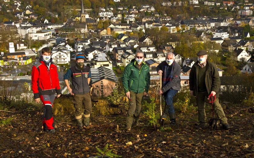 v. l. n. r.: Sebastian Brieden (Forstbetriebsgemeinschaft), Tobias Klein (Förster), Stefan Becher (Forstbetriebsgemeinschaft), Rainer Deppe MdL und Andreas Heider (Hegering) pflanzen die erste Küstentanne im Overather Sprachraum