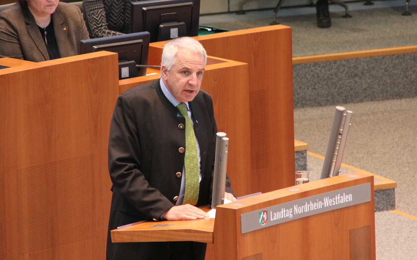Rainer Deppe während einer Rede vor dem Plenum